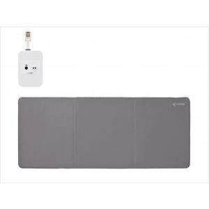 ケア愛　LoRaシリーズ　ペンダント+送信機+ふむふむセンサー　３点セット